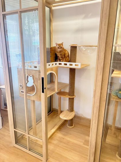 ปล่อยเซ้ง โรงแรมแมว+ร้านคาเฟ่ ริมถนนพระราม 9 ซอย 41  ใกล้โรงพยาบาลสัตว์ รูปที่ 2