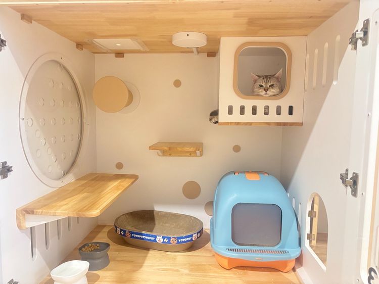 ปล่อยเซ้ง โรงแรมแมว+ร้านคาเฟ่ ริมถนนพระราม 9 ซอย 41  ใกล้โรงพยาบาลสัตว์