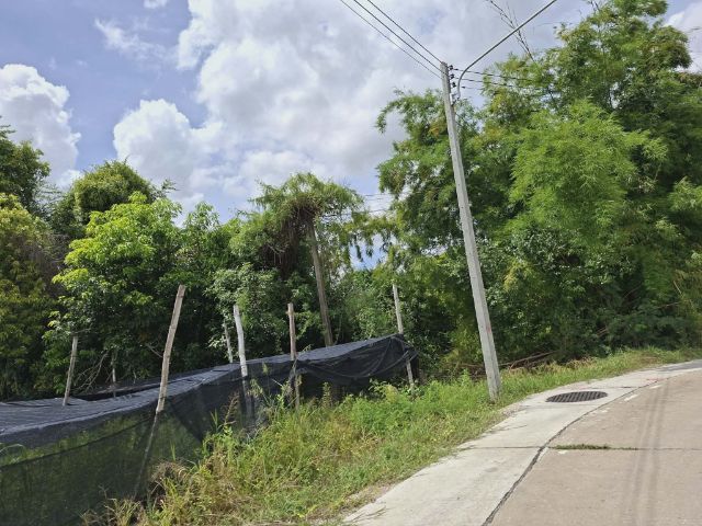 ใช่ ที่ดินเจ้าของขายเอง​ ไม่ขายแยก​ ที่ดินพร้อม​โฉนด​ นครสวรรค์​ รูปที่ 4