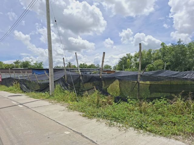 ใช่ ที่ดินเจ้าของขายเอง ไม่ขายแยก ที่ดินพร้อมโฉนด นครสวรรค์ รูปที่ 3