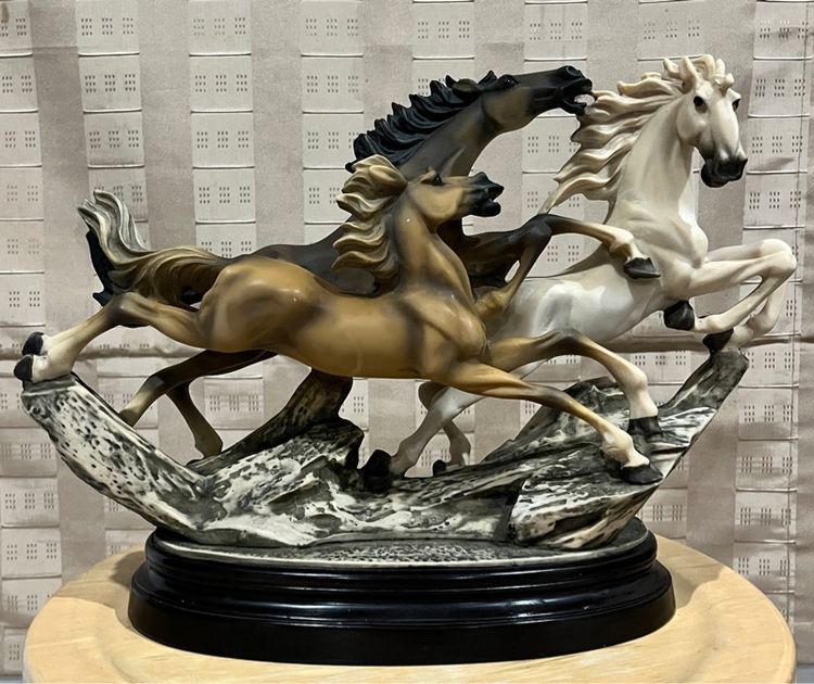 ม้าโชว์