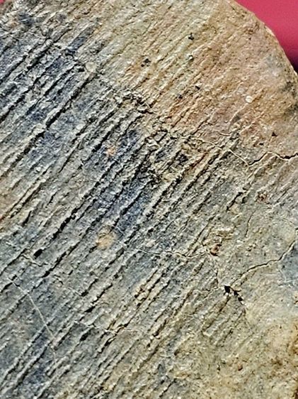 พระชุ้มกอ รูปที่ 5