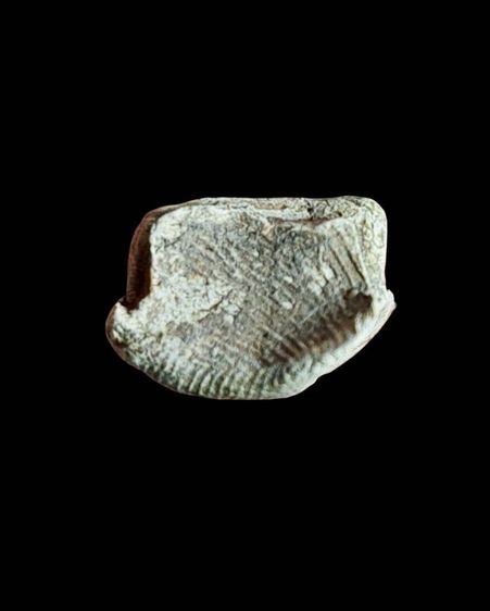 พระรอด รูปที่ 7