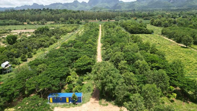 ใช่ ที่ดินพร้อมสิ่งปลูกสร้าง รูปที่ 3