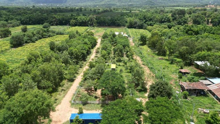 ใช่ ที่ดินพร้อมสิ่งปลูกสร้าง รูปที่ 2