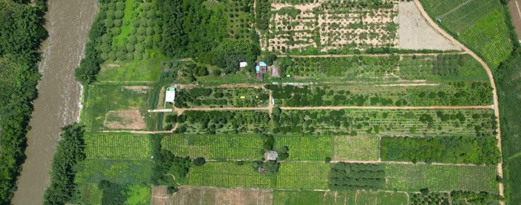 ใช่ ที่ดินพร้อมสิ่งปลูกสร้าง รูปที่ 4