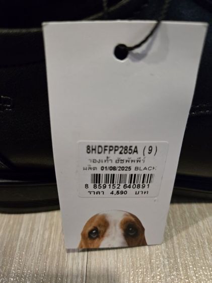 รองเท้าหนังผูกเชือก HUSH PUPPIES  รูปที่ 10