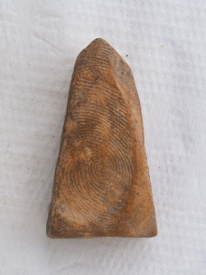 พระผงสุพรรณ 27106809 รูปที่ 2