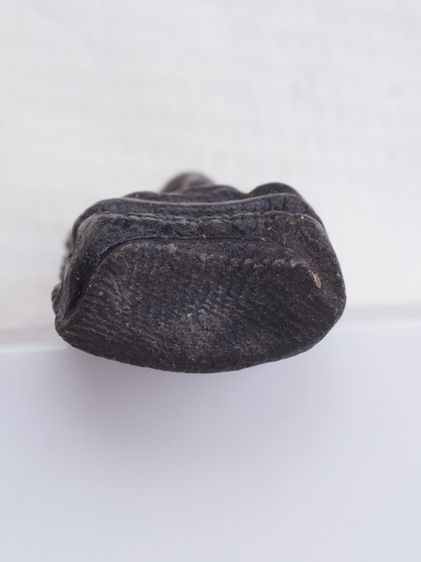 พระรอด 27106810 รูปที่ 3