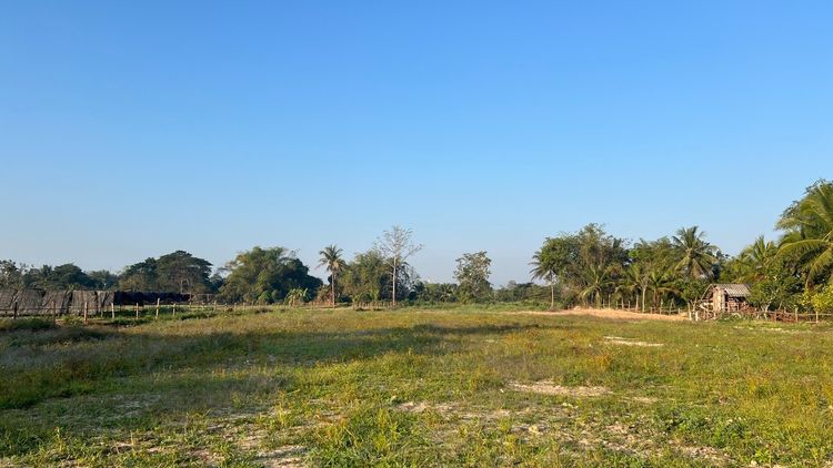 ขายที่ดินเนื้อที่ 4 ไร่ 3 งาน 56 ตรว (Land for sale by owner 4-3-56 rai)