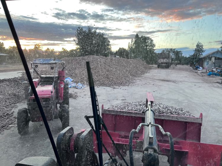 ลานมัน ลานรับชื้อสินค้าการเกษตร รูปที่ 2