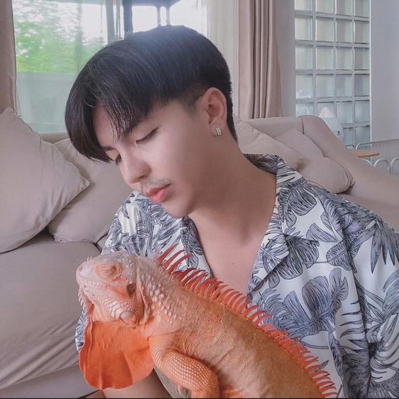 อิกัวน่าเหมาๆ รูปที่ 6
