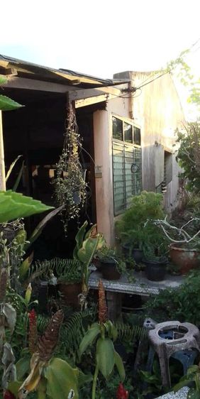 อื่นๆ ไม่มี สร้างเสร็จก่อน 2010 ไม่ใช่ ขายบ้านด่วน เจ้าของขายเอง น้ำไม่ท่วม รูปที่ 3