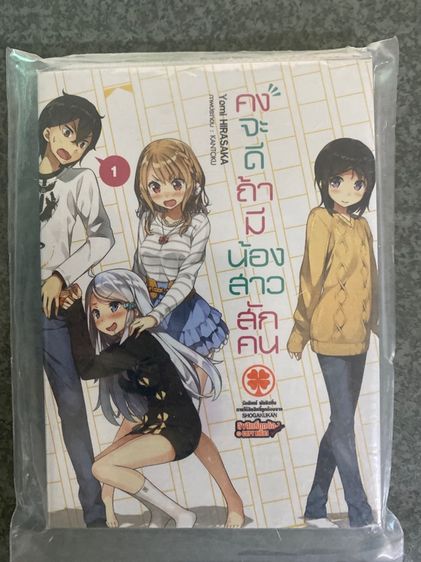 นิยาย คงจะดีถ้ามีน้องสาวสักคน