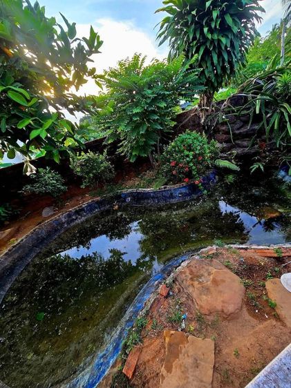 ทาวน์เฮ้าส์ ชั้นเดียว ซอยเจริญสุข เมืองกระบี่ รูปที่ 4