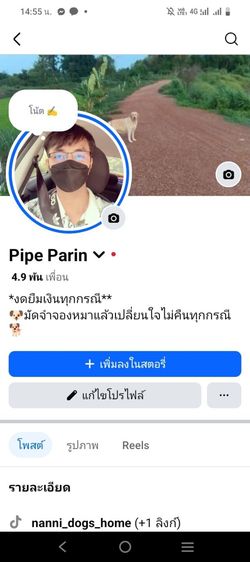 ชิวาว่าขนสั้น รูปที่ 5