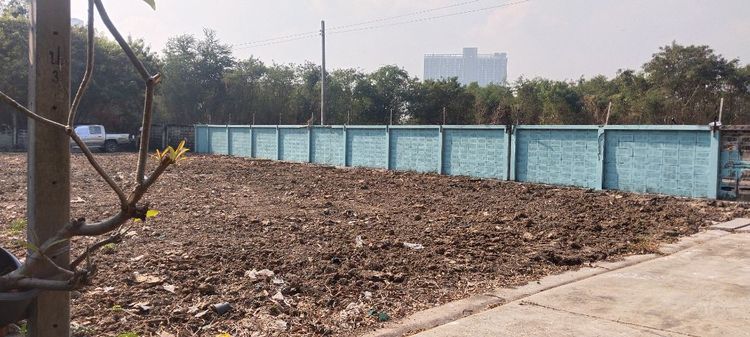 ขายที่ดินม.พนาธิ์ใกล้รถไฟสายสีเขียวศรีนคริทร์ใกล้โรงบาลเปาโลเข้า-ออกสะดวกสบายใกล้ห้าง ใกล้โรงเรียน เจ้าของขายเองราคาพูดคุยได้ค่ะ 0830266886 รูปที่ 3