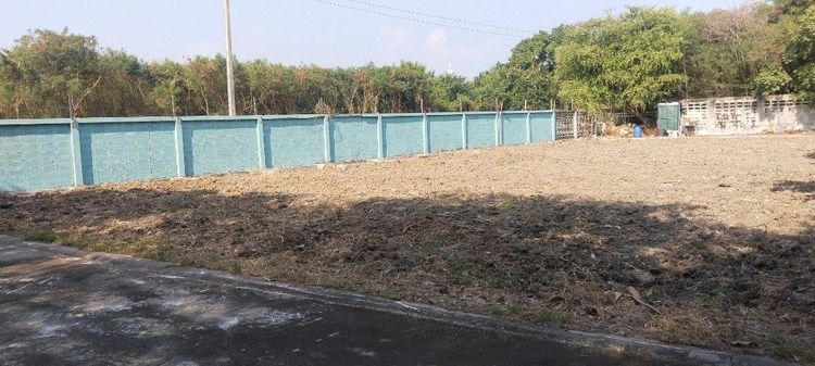 ขายที่ดินม.พนาธิ์ใกล้รถไฟสายสีเขียวศรีนคริทร์ใกล้โรงบาลเปาโลเข้า-ออกสะดวกสบายใกล้ห้าง ใกล้โรงเรียน เจ้าของขายเองราคาพูดคุยได้ค่ะ 0830266886 รูปที่ 4