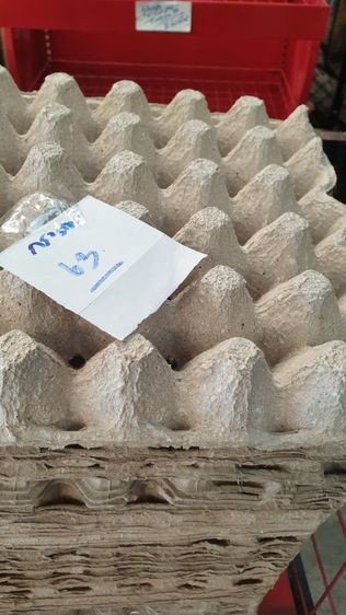 ขายเหมา แผงไข่สภาพดี พร้อมใช้งาน ราคาสุดคุ้ม รูปที่ 2