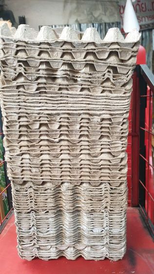 ขายเหมา แผงไข่สภาพดี พร้อมใช้งาน ราคาสุดคุ้ม รูปที่ 3