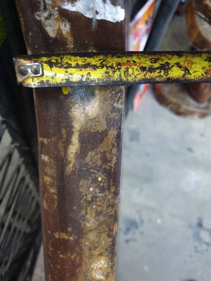 ไม้ประดู่ป่า ไม้แผ่นเดียว อายุร้อยปี หนาลายสวยสะกดตา รูปที่ 13