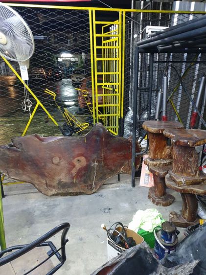 ไม้ประดู่ป่า ไม้แผ่นเดียว อายุร้อยปี หนาลายสวยสะกดตา รูปที่ 4