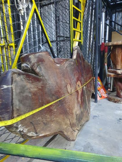 ไม้ประดู่ป่า ไม้แผ่นเดียว อายุร้อยปี หนาลายสวยสะกดตา