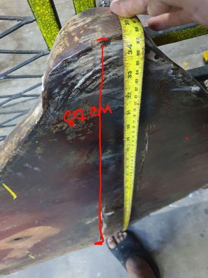 ไม้ประดู่ป่า ไม้แผ่นเดียว อายุร้อยปี หนาลายสวยสะกดตา รูปที่ 3