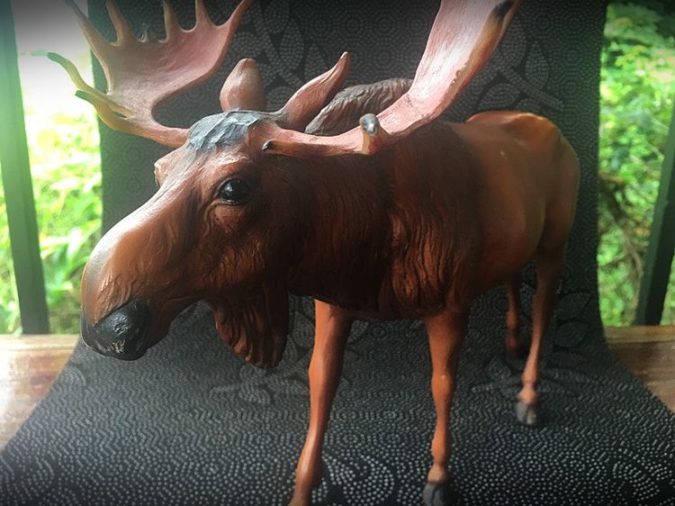 รูปหล่อไฟเบอร์กลาส กวางมูสจากอเมริกาเหมือนมาก สำหรับตั้งโชว์ รูปที่ 5