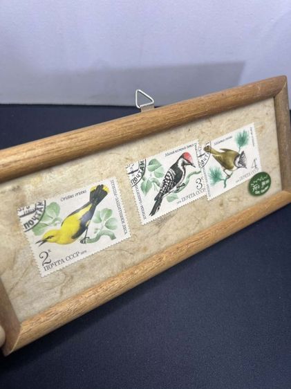 กรอบรูปแสตมป์นกวินเทจ (Vintage Soviet USSR Bird Stamps)