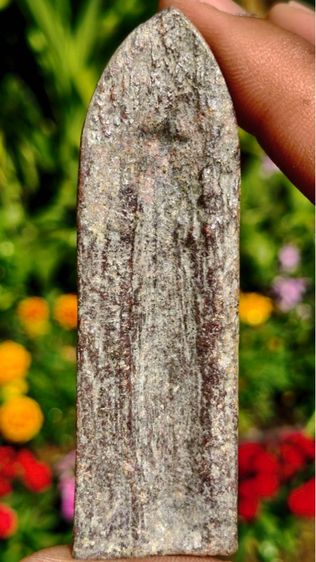 พระร่วงหลังรางปืน กรุวัดพระศรีรัตนมหาธาตุราชวรวิหาร  หรือกรุวัดพระปรางค์ สุโขทัย  พิมพ์ฐานสูงร่องตื้นหลังกาบหมาก  รูปที่ 8