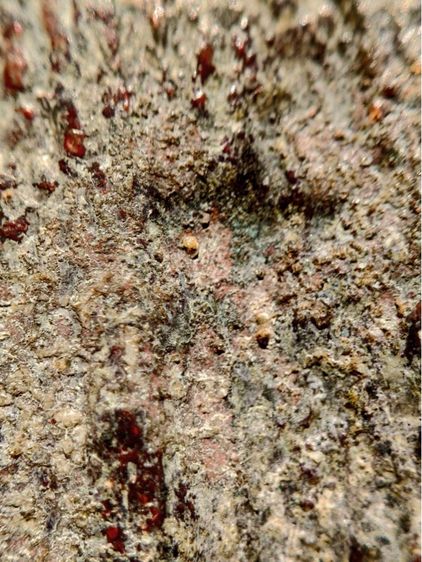 พระร่วงหลังรางปืน กรุวัดพระศรีรัตนมหาธาตุราชวรวิหาร  หรือกรุวัดพระปรางค์ สุโขทัย  พิมพ์ฐานสูงร่องตื้นหลังกาบหมาก  รูปที่ 9