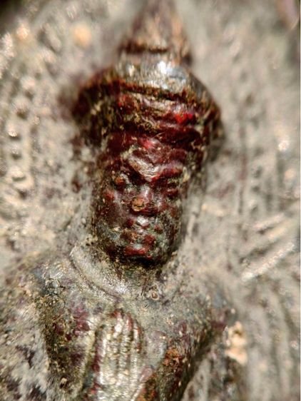 พระร่วงหลังรางปืน กรุวัดพระศรีรัตนมหาธาตุราชวรวิหาร หรือกรุวัดพระปรางค์  สุโขทัย  พิมพ์ฐานสูงร่องตื้นหลังกาบหมาก  รูปที่ 3