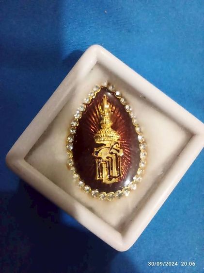 เข็มกลัดที่ระลึกรัชกาลที่ 9 และพระราชินีนาถ รูปที่ 16