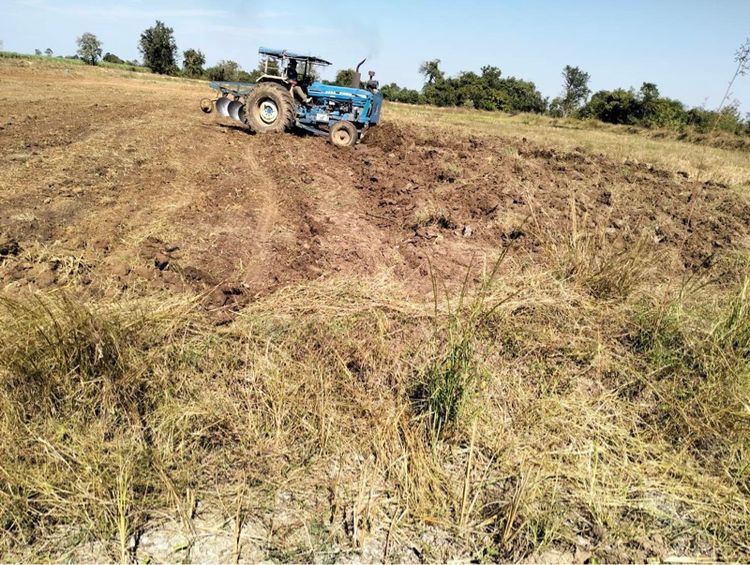 ไม่ใช่ ที่ดินให้เช่า รูปที่ 3