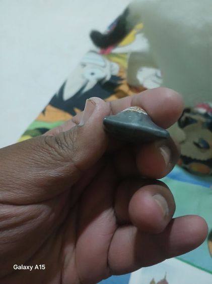 เบี้ยแก้ รูปที่ 5