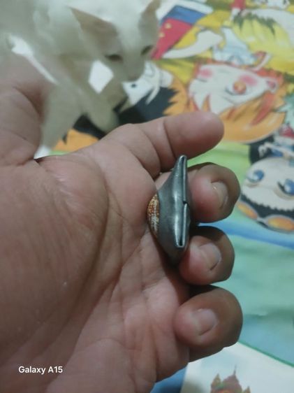 เบี้ยแก้