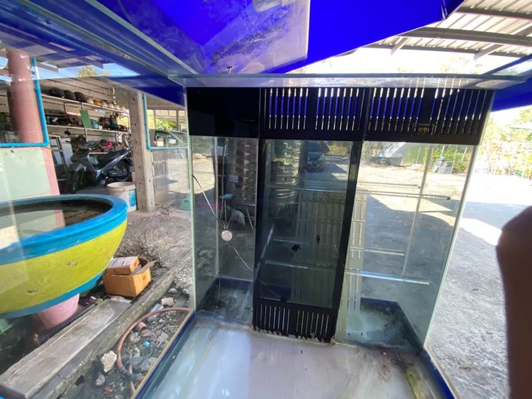 ตู้ปลา60นิ้ว รูปที่ 6