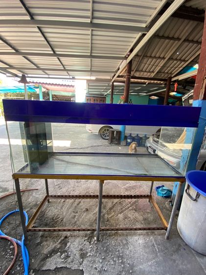ตู้ปลา60นิ้ว รูปที่ 3