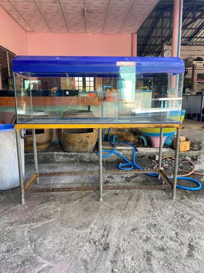 ตู้ปลา60นิ้ว