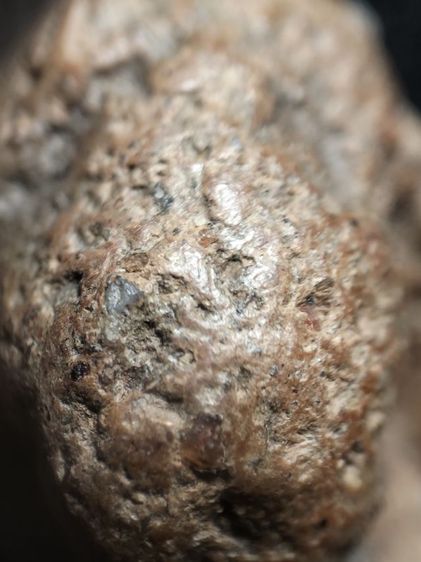 หลวงพ่อโตบางกระทิงอยุธยาครับ รูปที่ 8