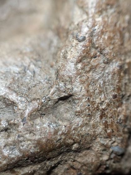 หลวงพ่อโตบางกระทิงอยุธยาครับ รูปที่ 18