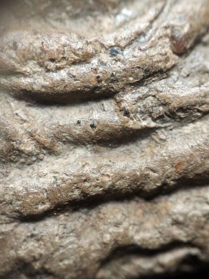 หลวงพ่อโตบางกระทิงอยุธยาครับ รูปที่ 12