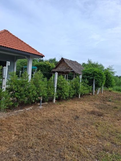 อื่นๆ มีบางส่วน สร้างเสร็จก่อน 2010 ใช่ บ้านเดียวขายถูก รูปที่ 2