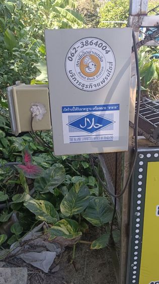 เตาหมุนไฟฟ้า เป็ดย่างเกลือ ปลาเผา รูปที่ 8