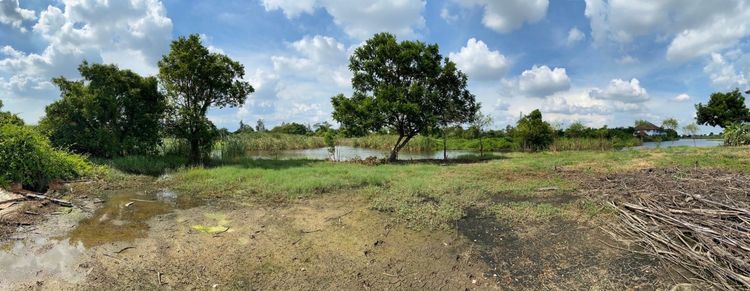 ขายที่ดินเปล่า 256 วา ติดเลค ใกล้สนามกอล์ฟบางปู 1.2 กม. สมุทรปราการ สงบ เป็นส่วนตัว รูปที่ 4