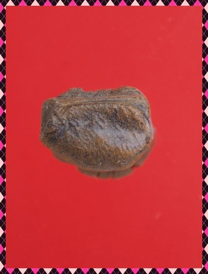 ญ93-ญ94.พระรอด-หลวงปู่ทวด องค์ๆละ 419 บ. รูปที่ 4