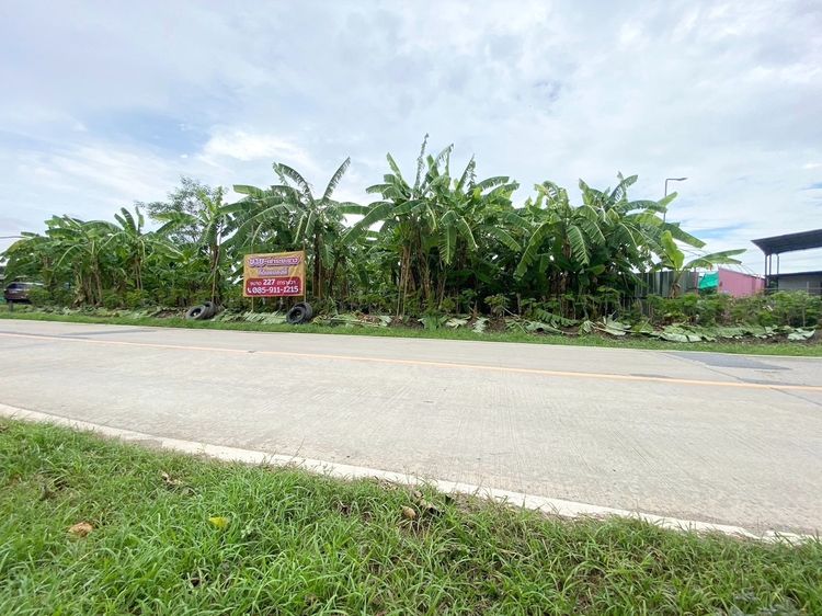 ขายที่ดินแปลงสวย เจ้าของขายเอง 227 ตรว. อ.บางใหญ่ จ.นนทบุรี รูปที่ 3