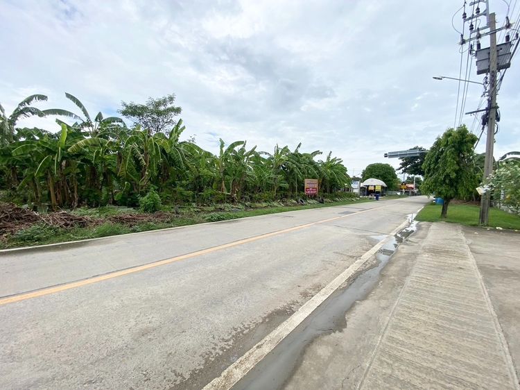 ขายที่ดินแปลงสวย เจ้าของขายเอง 227 ตรว. อ.บางใหญ่ จ.นนทบุรี รูปที่ 2