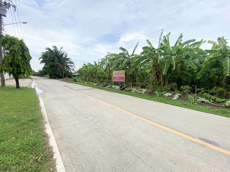 ขายที่ดินแปลงสวย เจ้าของขายเอง 227 ตรว. อ.บางใหญ่ จ.นนทบุรี รูปที่ 4